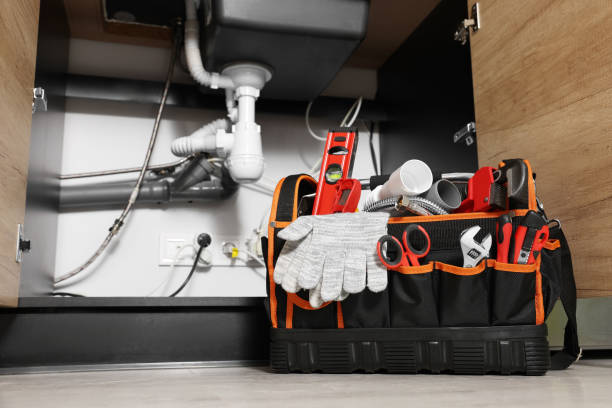 Best Plumbing Services Near Me  in Oakleaf Plantation, FL