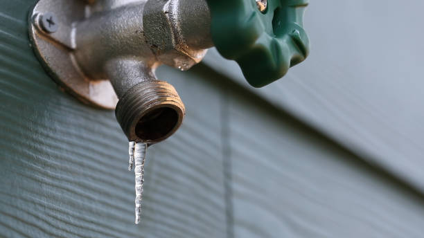 Best Plumbing Repair Near Me  in Oakleaf Plantation, FL